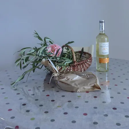 Maison Perigourdine Authentique Avec Cheminee, Jardin, Cuisine D'ete Et Visite De Truffiere - Fr-1-616-239 Tourtoirac