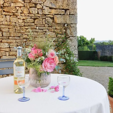 Charmante Maison En Pierre Avec Jardin, Cheminee Et Wifi - Fr-1-616-239 * Tourtoirac