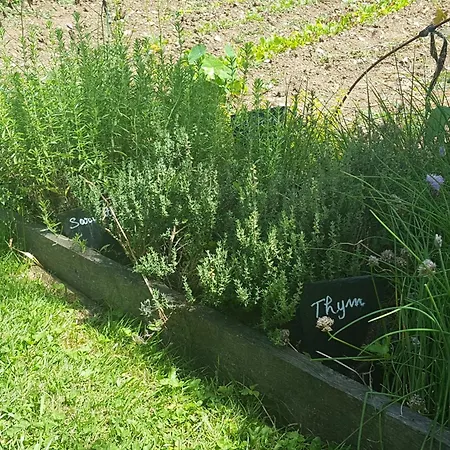 Maison Perigourdine Authentique Avec Cheminee, Jardin, Cuisine D'ete Et Visite De Truffiere - Fr-1-616-239 *