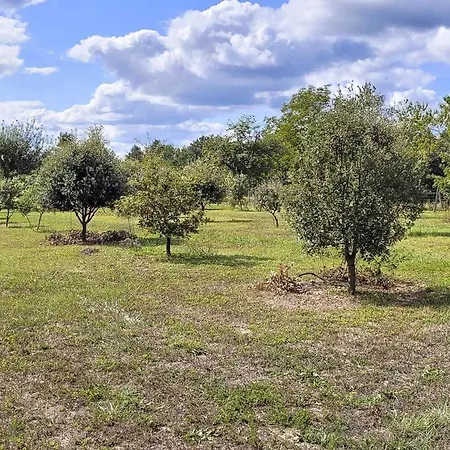Feriehus Charmante Maison En Pierre Avec Jardin, Cheminee Et Wifi - Fr-1-616-239 *